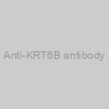 Anti-KRT6B antibody